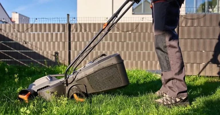 Tondre le Dimanche : Horaires 2026, Réglementation et Conseils Pratiques