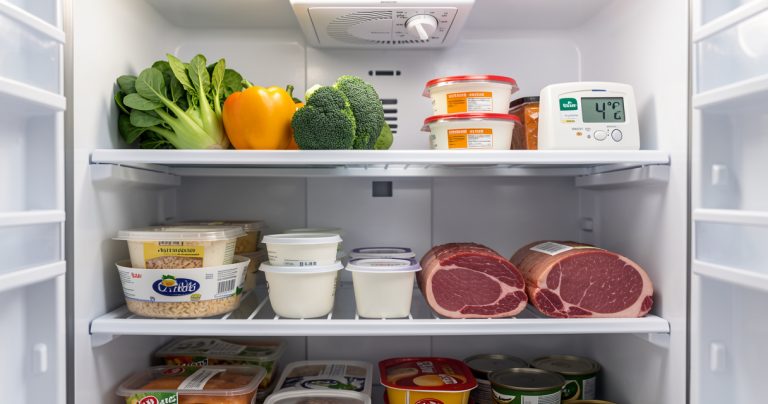Thermostat frigo 1 ou 5 : lequel est le plus froid ? Guide 2026